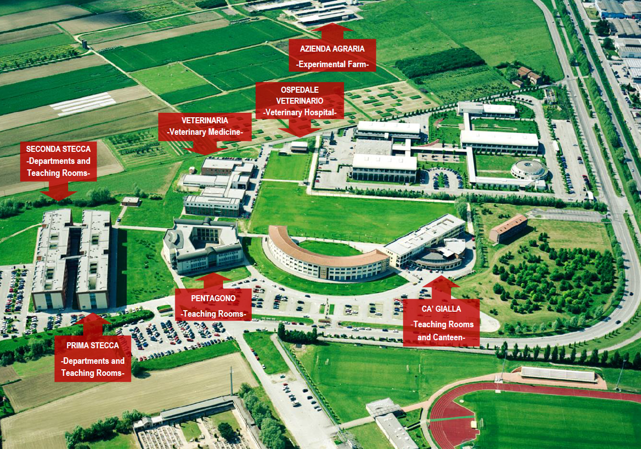 aerial view of the Agripolis campus