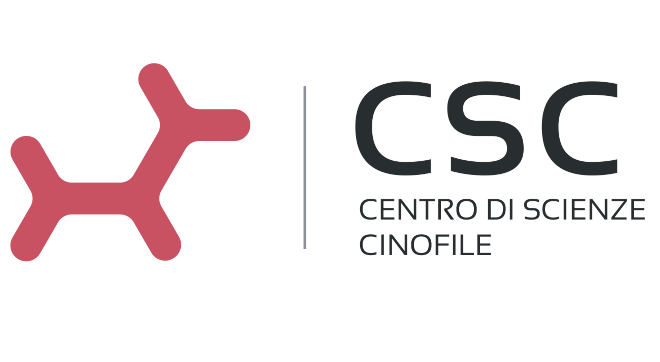 logo csc