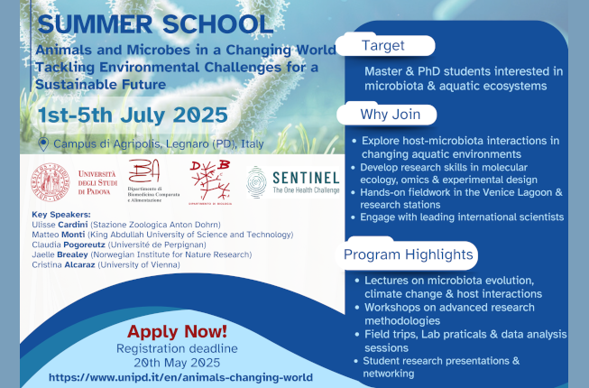 Collegamento a Sentinel Summer school 